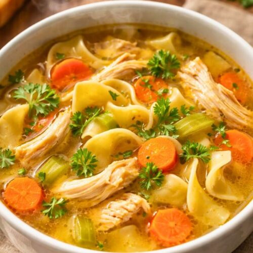 Wawa Chicken Noodle Soup Recipe